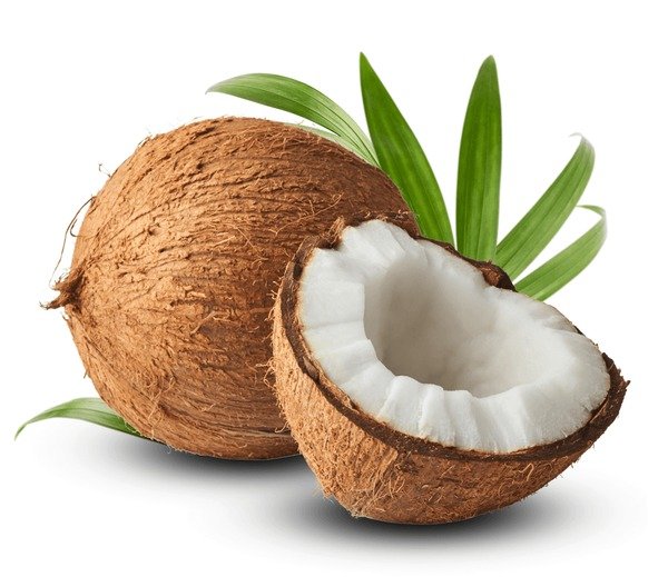 Coconut